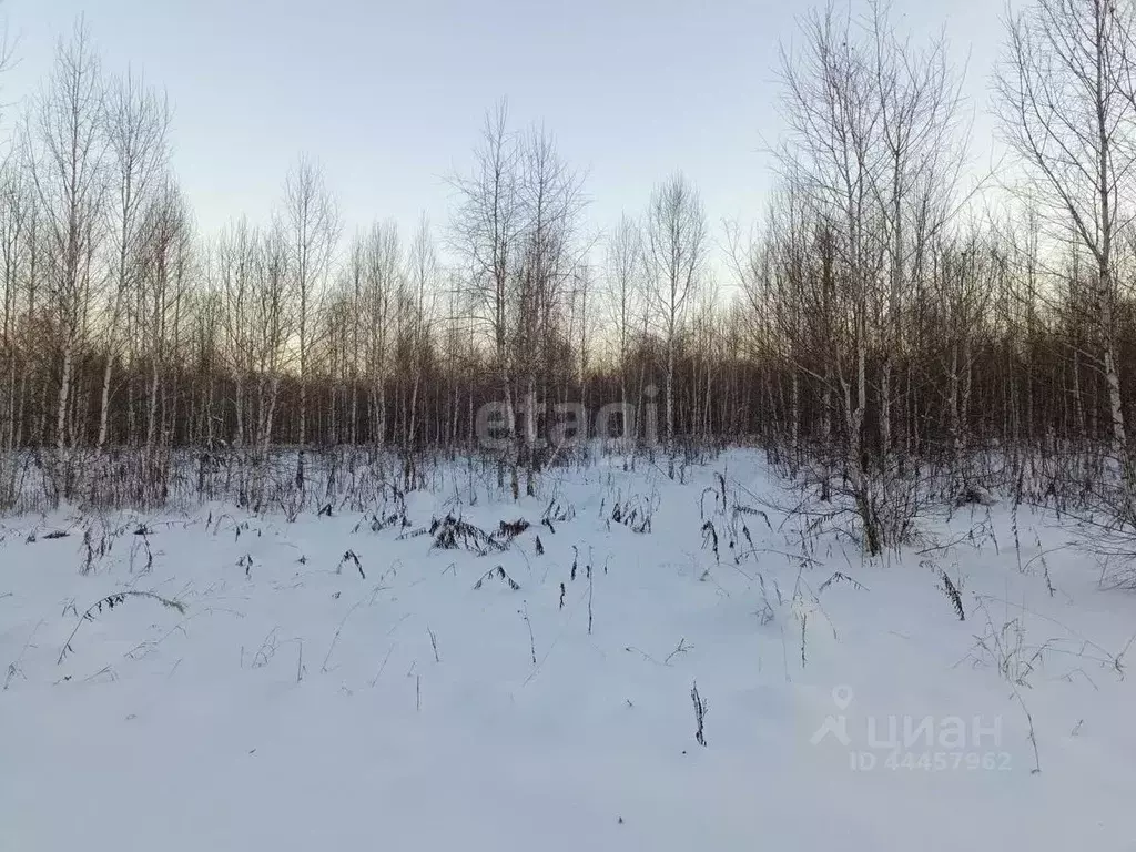 Участок в Челябинская область, Сосновский район, с. Кременкуль  (13.2 ... - Фото 1