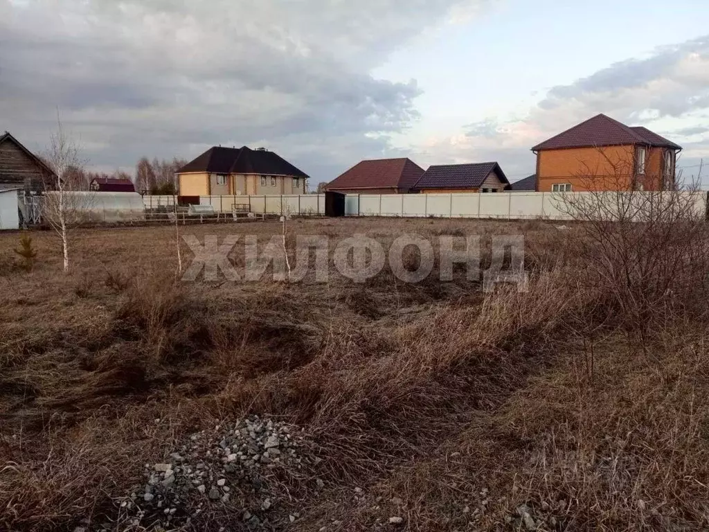 Участок в Новосибирская область, Новосибирский район, Морской ... - Фото 1