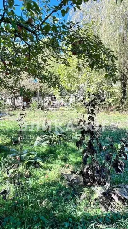 Участок в Краснодарский край, Туапсинский муниципальный округ, с. ... - Фото 1