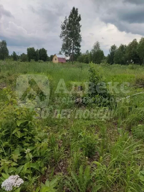 Участок в Тюменская область, Нижнетавдинский район, Виктория ТСН ул. ... - Фото 1