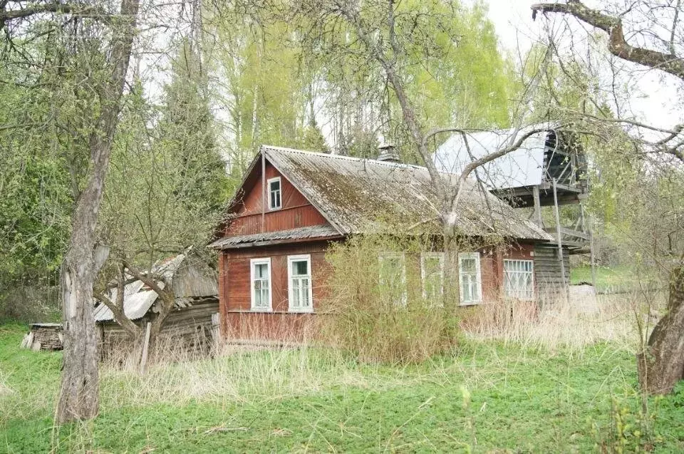 Дом в деревня Фофаново (38 м) - Фото 0