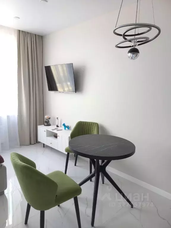 Студия Московская область, Химки городской округ, д. Рузино, ... - Фото 2