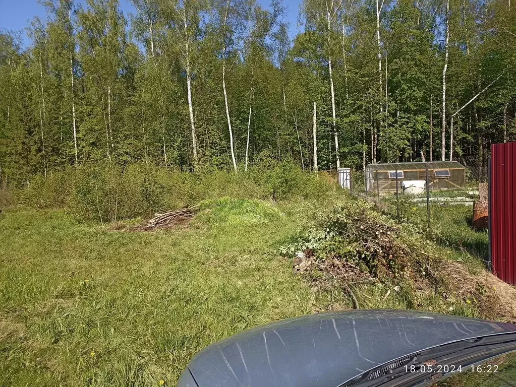 Участок в Московская область, Серпухов городской округ, д. Новики, ... - Фото 2