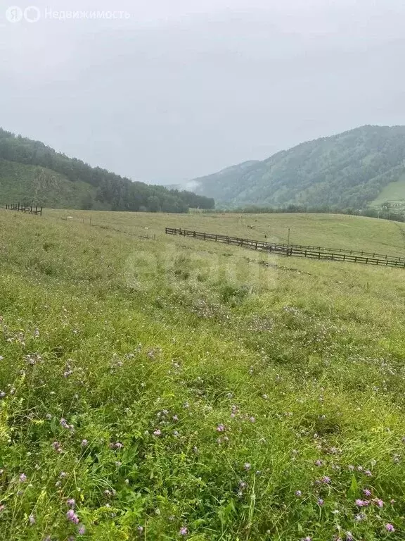 Участок в село Бирюля, Таркольская улица (13 м) - Фото 1