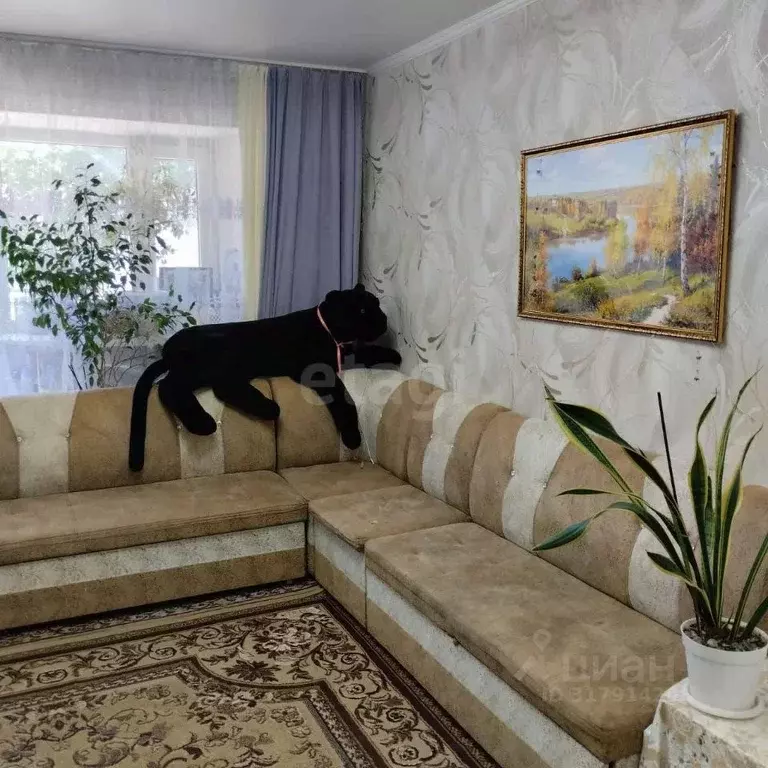 Студия Краснодарский край, Анапа Крымская ул., 218 (21.7 м) - Фото 1
