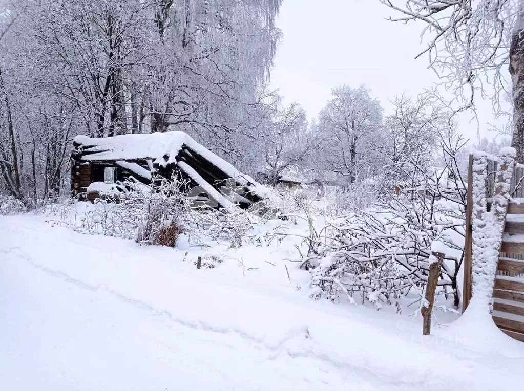 Участок в Вологодская область, Сокольский муниципальный округ, д. ... - Фото 2