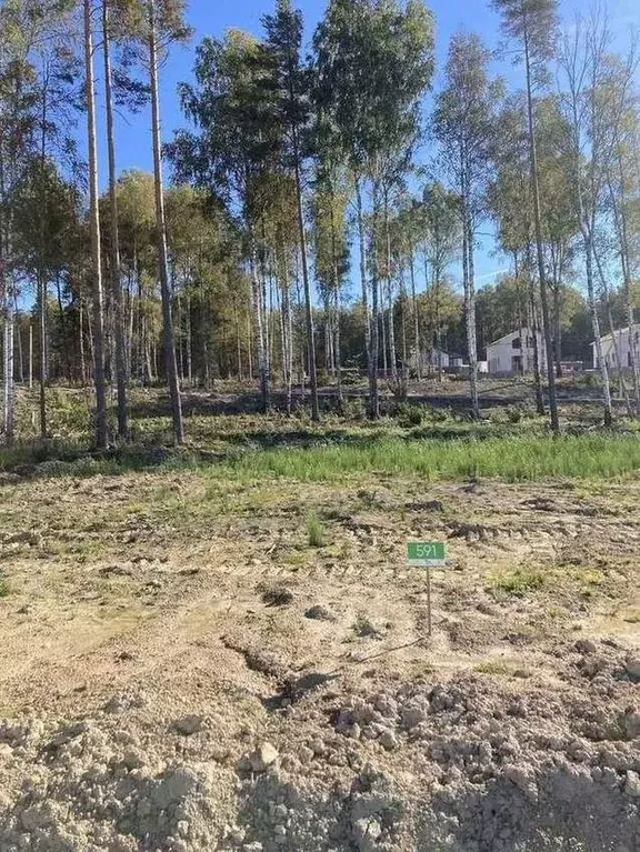 Участок в Ленинградская область, Всеволожский район, Токсовское ... - Фото 0