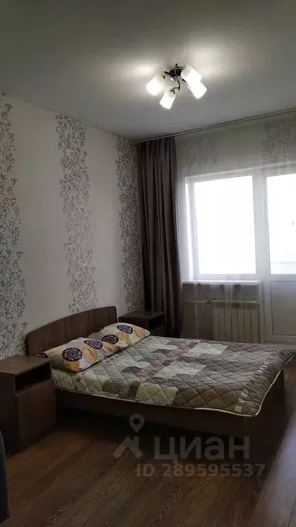 Студия Алтай, Горно-Алтайск Коммунистический просп., 125 (32.0 м) - Фото 1