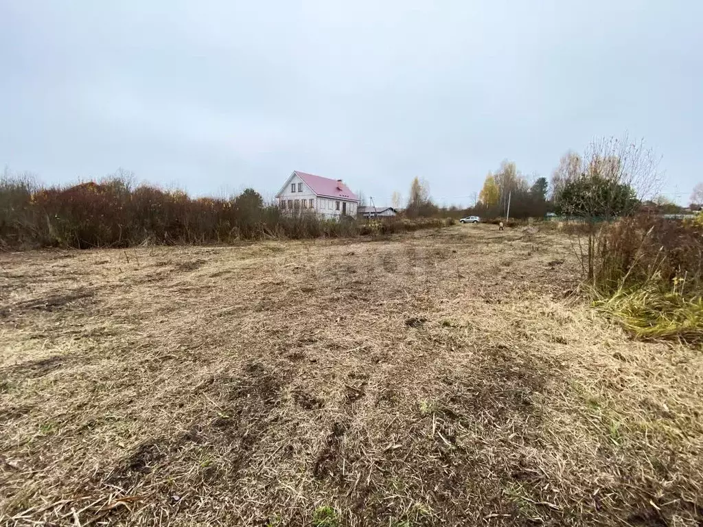 Участок в Ярославская область, Рыбинский муниципальный округ, с. Спасс ... - Фото 1