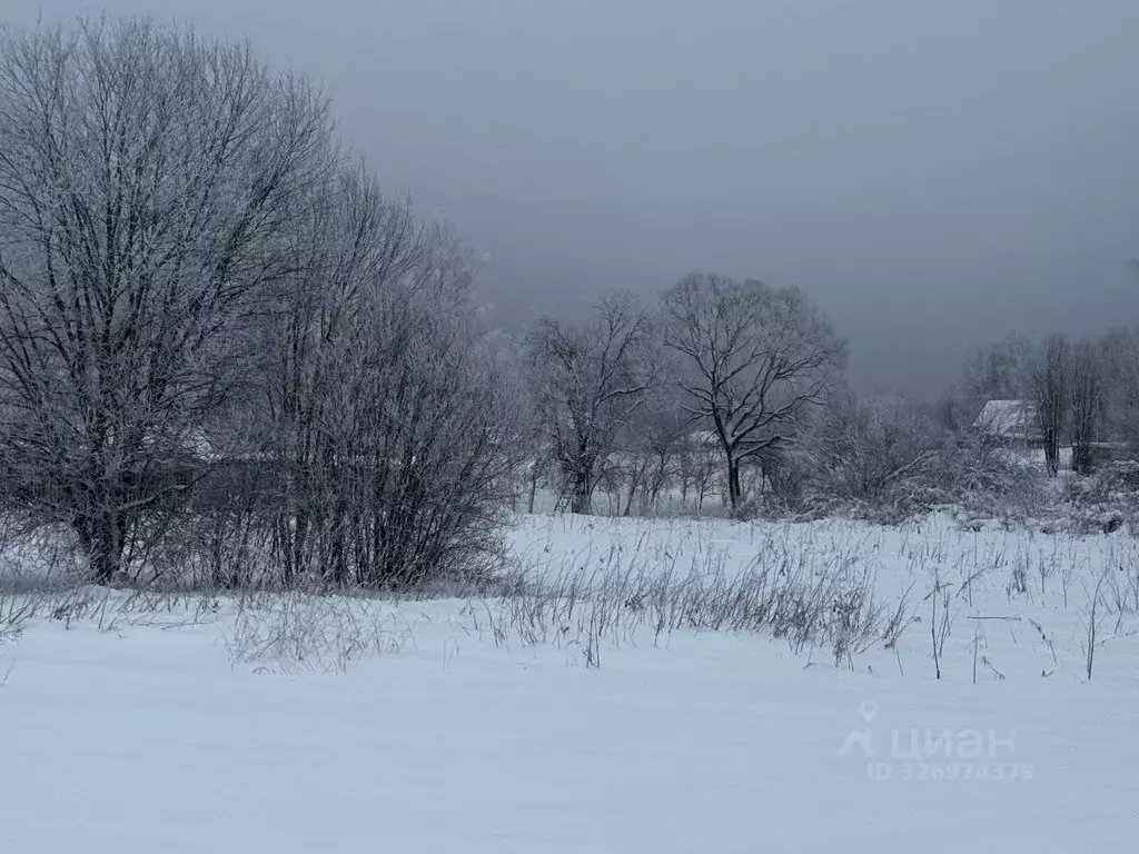 Участок в Московская область, Солнечногорск городской округ, д. ... - Фото 1