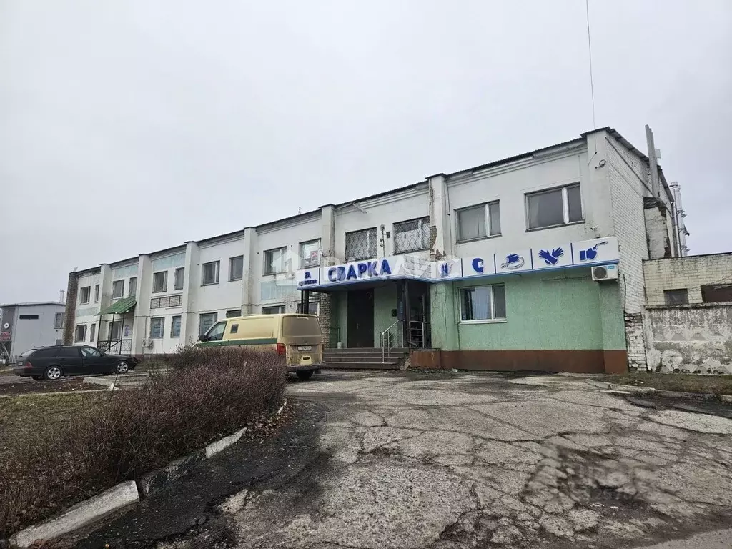 Торговая площадь в Белгородская область, Белгород Корочанская ул., ... - Фото 0