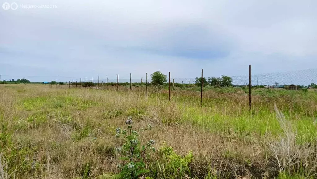 Участок в деревня Знаменка, Знаменская улица (20 м) - Фото 1