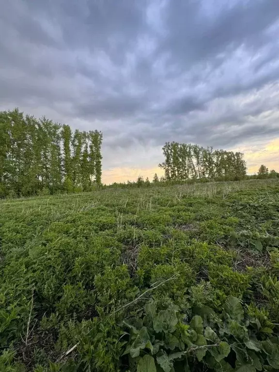 Участок в Кемеровская область, Кемеровский район, с. Елыкаево ... - Фото 0