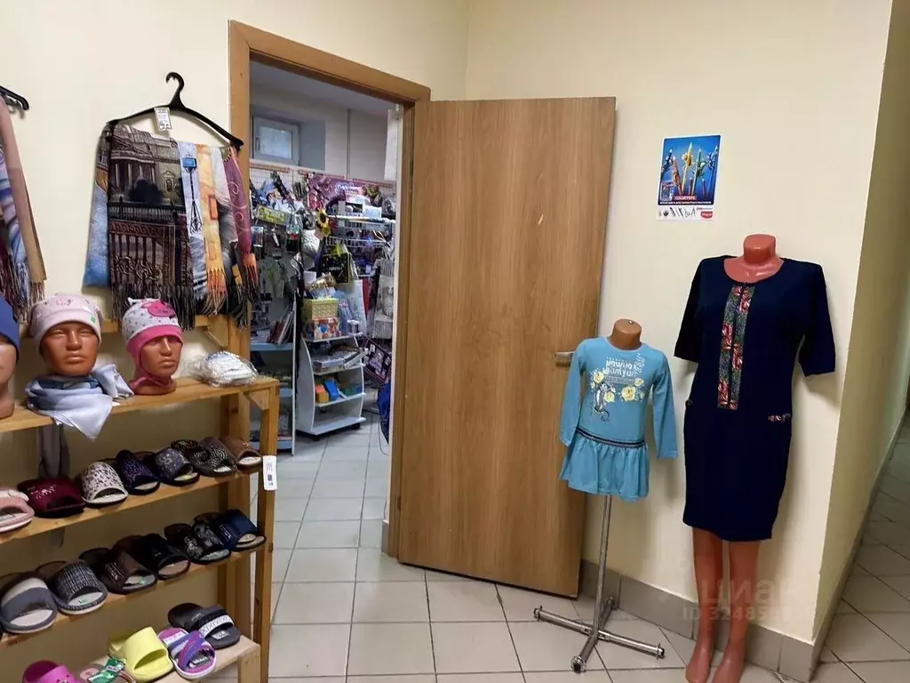 Помещение свободного назначения в Санкт-Петербург, Санкт-Петербург, ... - Фото 1