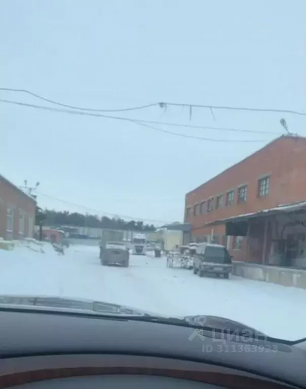 Помещение свободного назначения в Алтайский край, Барнаул ... - Фото 1