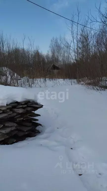Участок в Курганская область, Шадринск Моховая ул. (10.0 сот.) - Фото 1
