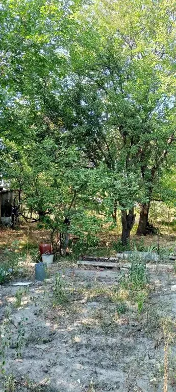 Участок в Ростовская область, Каменск-Шахтинский Фиалка СНТ,  (10.0 ... - Фото 1