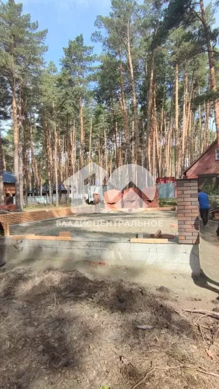 Участок в Новосибирская область, Новосибирский район, Кудряшовский дп  ... - Фото 0