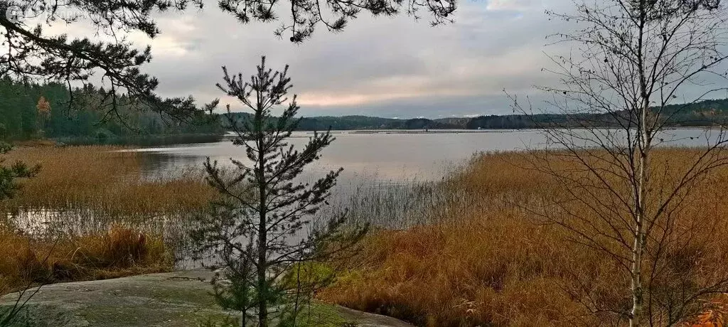 Участок в Республика Карелия, Сортавальский муниципальный округ, ... - Фото 0