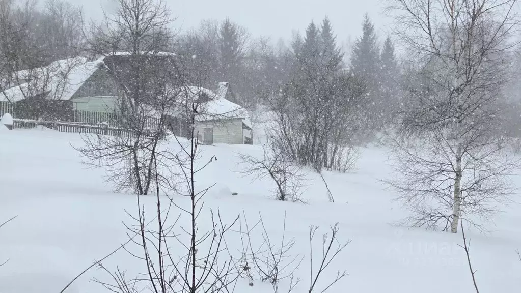 Участок в Московская область, Домодедово городской округ, д. Старое  ... - Фото 1