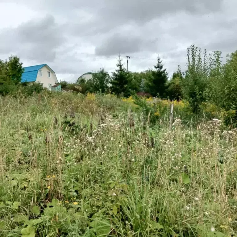 Участок в Пермский край, Пермский муниципальный округ, Ключики № 10 ... - Фото 0