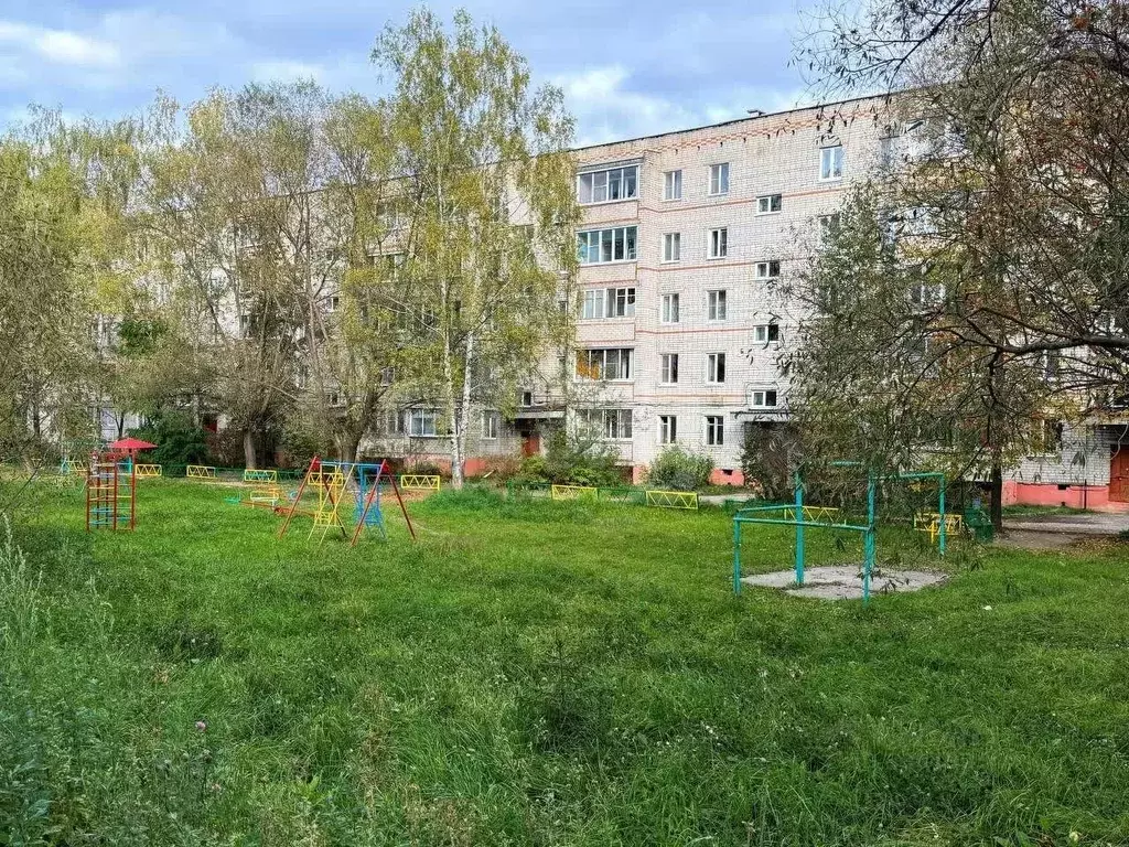 1-к кв. Владимирская область, Петушки Московская ул., 13 (29.9 м) - Фото 1