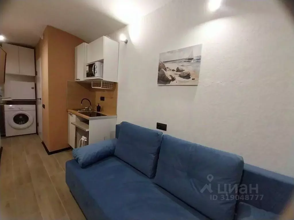 Студия Санкт-Петербург Саперный пер., 10 (12.0 м) - Фото 0
