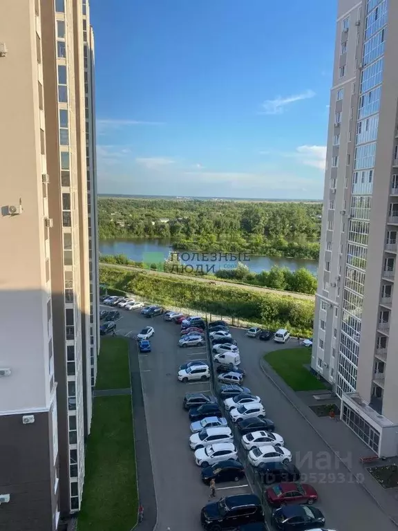 1-к кв. Курганская область, Курган ул. Криволапова, 7 (33.1 м) - Фото 1
