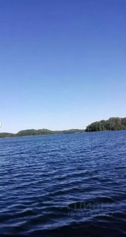 Участок в Псковская область, Пустошкинский муниципальный округ, д. ... - Фото 1
