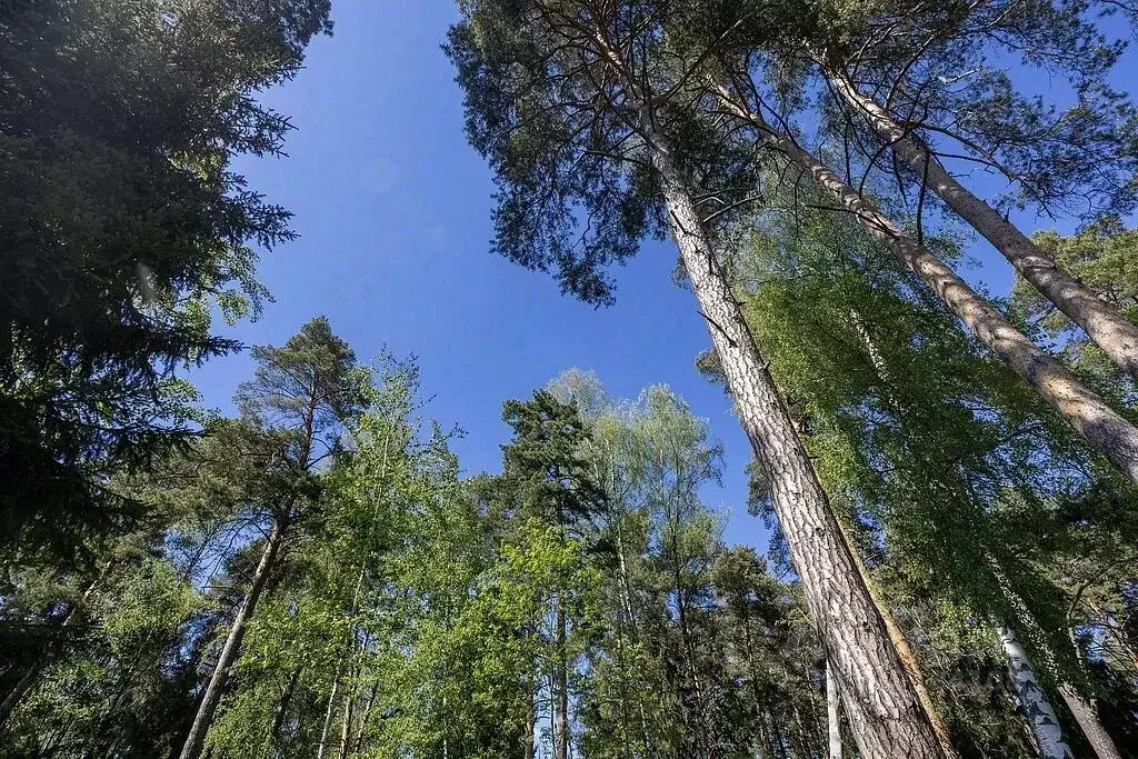 Участок в Московская область, Красногорск городской округ, д. ... - Фото 1