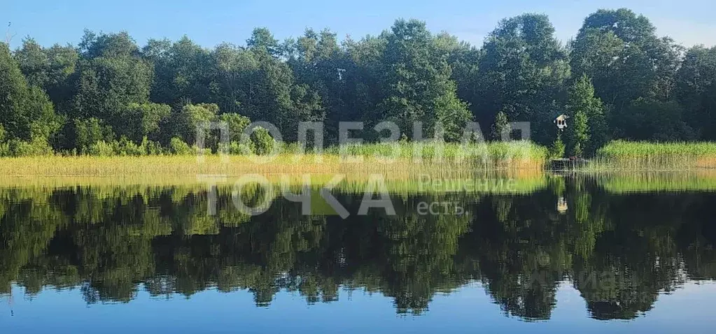 Участок в Новгородская область, Мошенской муниципальный округ, д. ... - Фото 1
