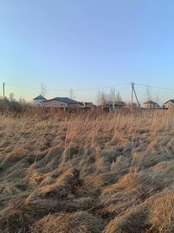 Участок в Новгородская область, Новгородский район, Ракомское с/пос, ... - Фото 2