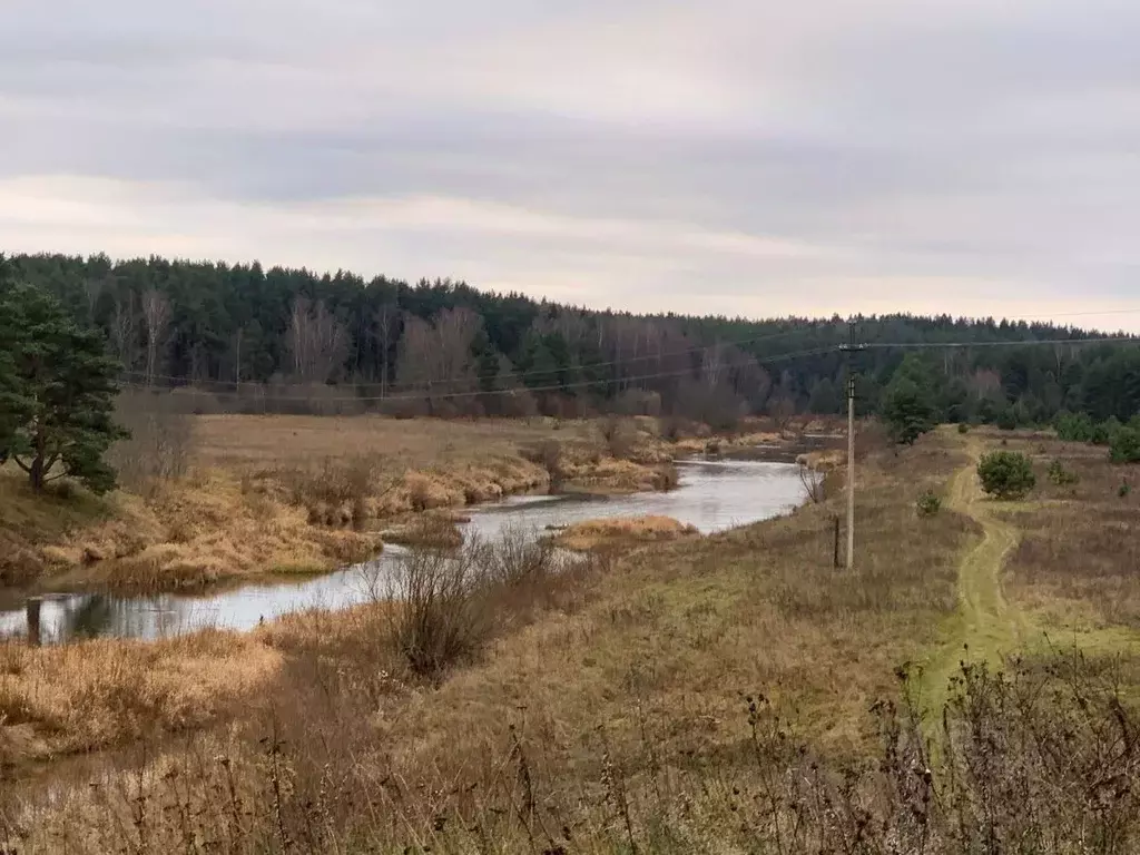 Участок в Тверская область, Калининский муниципальный округ, д. Савино ... - Фото 2