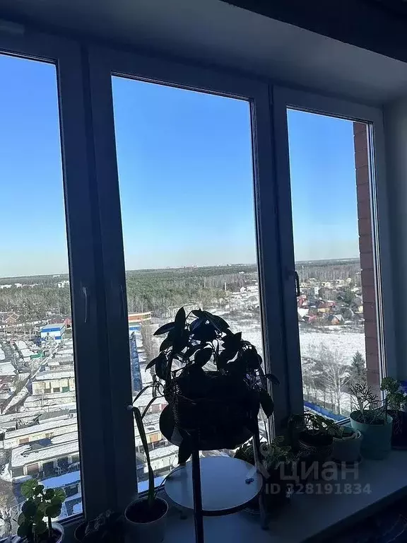 1-к кв. Московская область, Домодедово Западный мкр, ул. Лунная, 25к3 ... - Фото 1