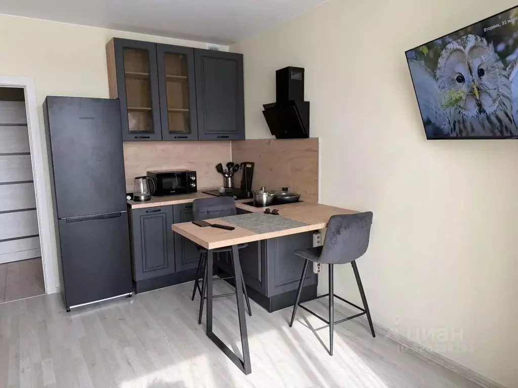 Студия Ленинградская область, Коммунар г. Гатчинский муниципальный ... - Фото 1