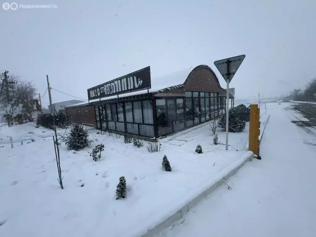 Помещение свободного назначения (240 м) - Фото 1