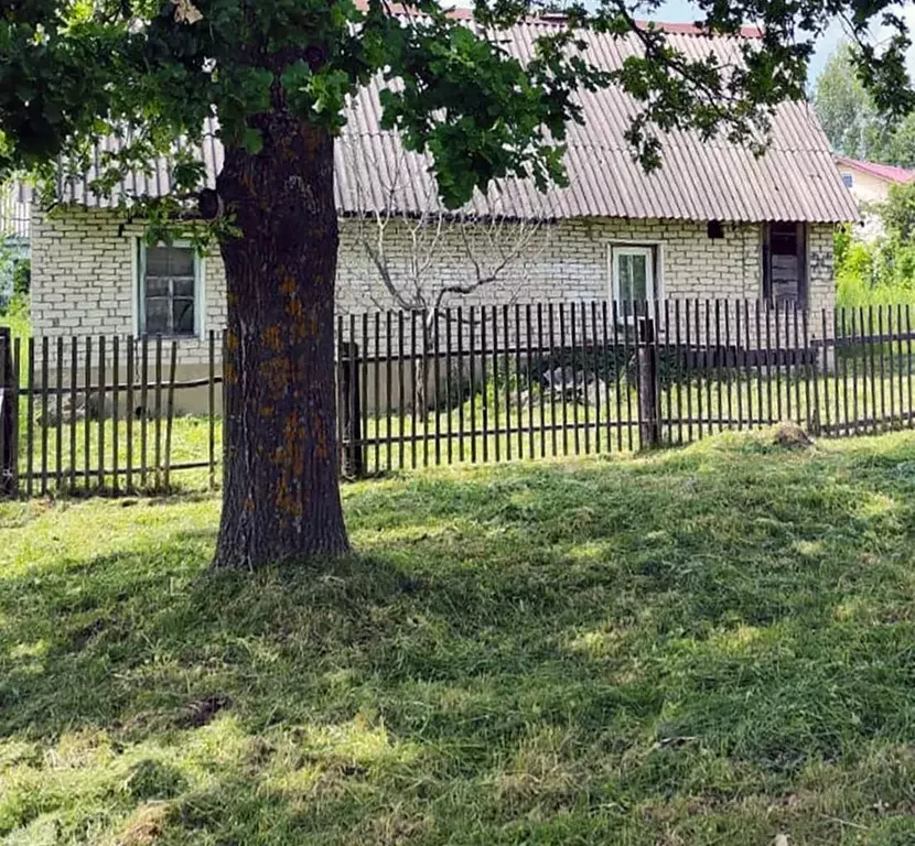 Дом в Калужская область, Думиничи пгт ул. Лермонтова, 35 (56 м) - Фото 2