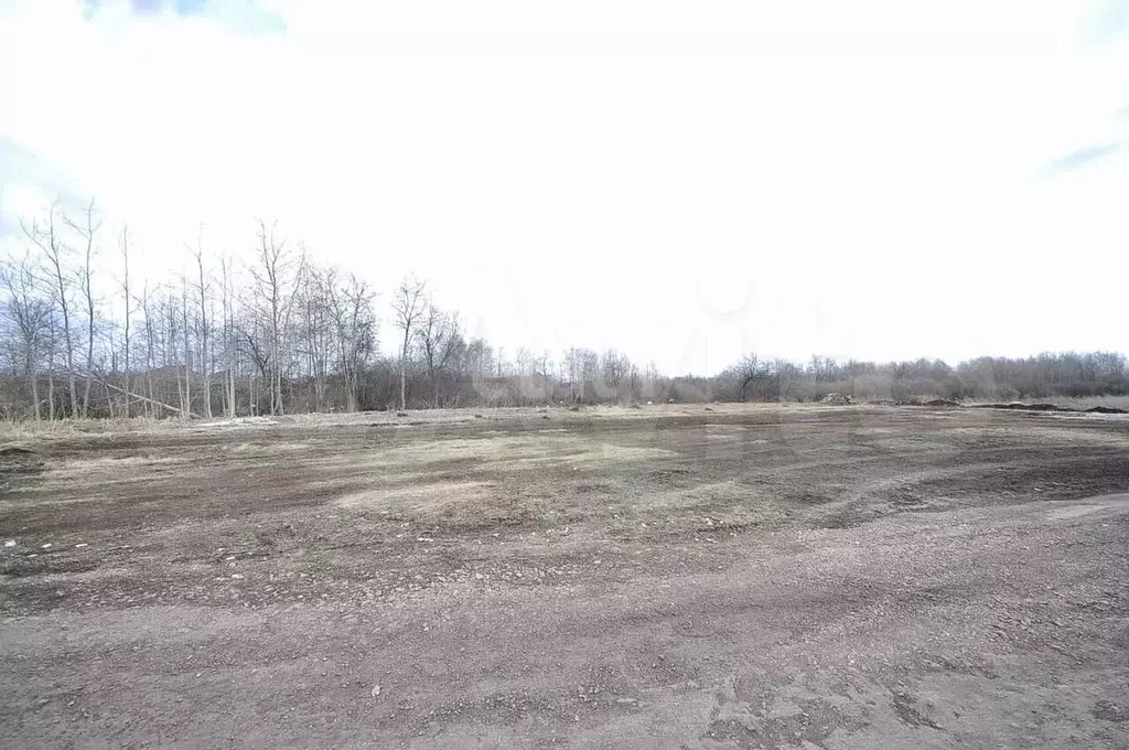 Участок 11 сот. (ИЖС) - Фото 0