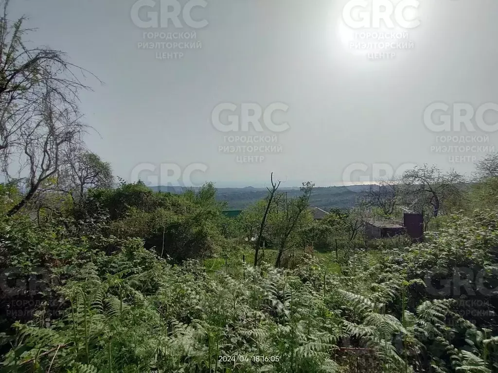 Участок в Краснодарский край, Сочи городской округ, с. Нижняя Шиловка ... - Фото 0