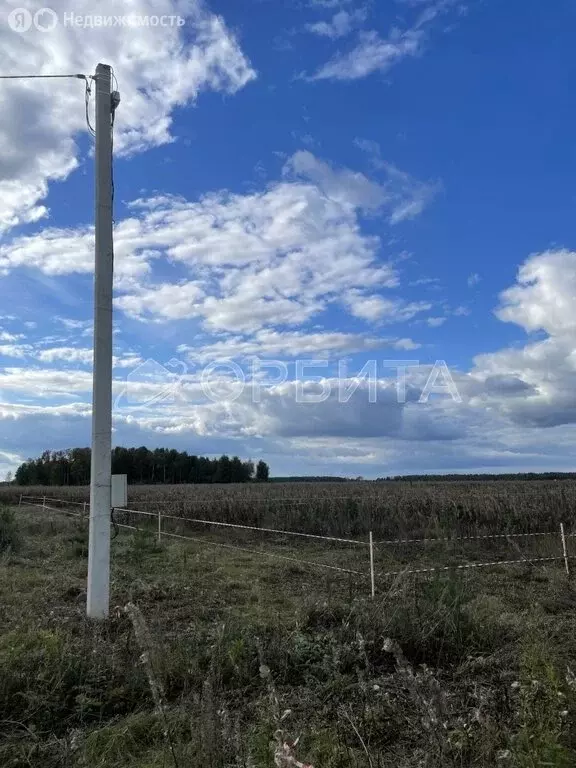 Участок в Тугулым, Весенняя улица (12.52 м) - Фото 2