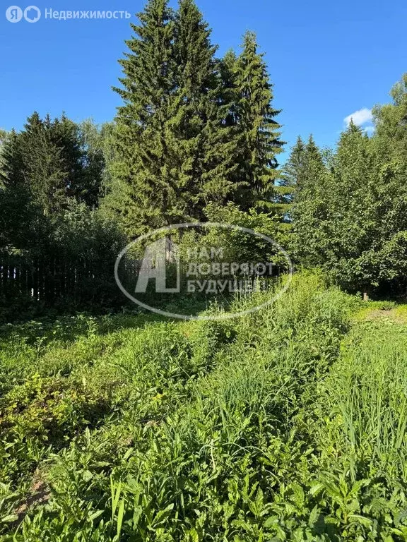 Участок в Пермь, Ново-Азовская улица, 3 (6.3 м) - Фото 1