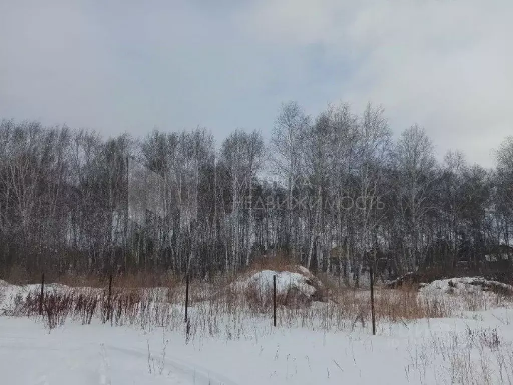 Участок в Тюменская область, Тюмень Плодовое СНТ, 712 (9.1 сот.) - Фото 0