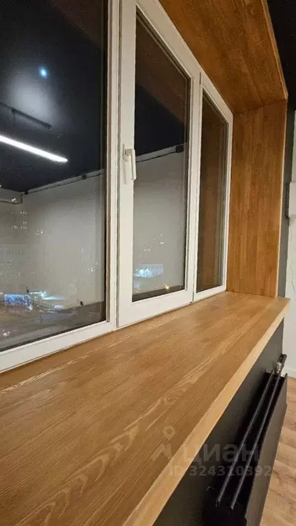 Офис в Новосибирская область, Новосибирск просп. Димитрова, 1 (20 м) - Фото 2