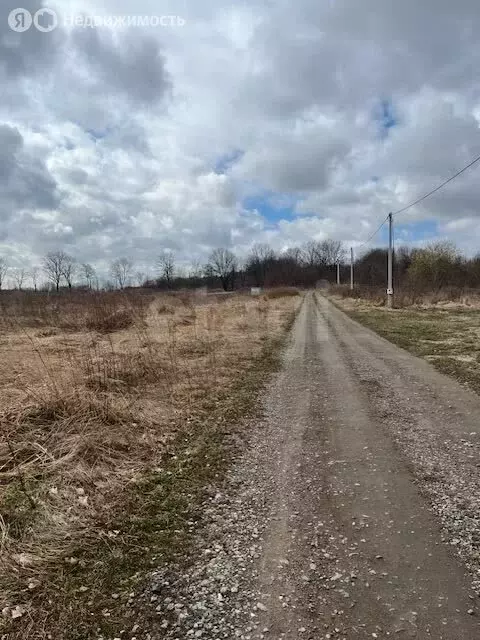 Участок в Калининградская область, Зеленоградский муниципальный округ, ... - Фото 1