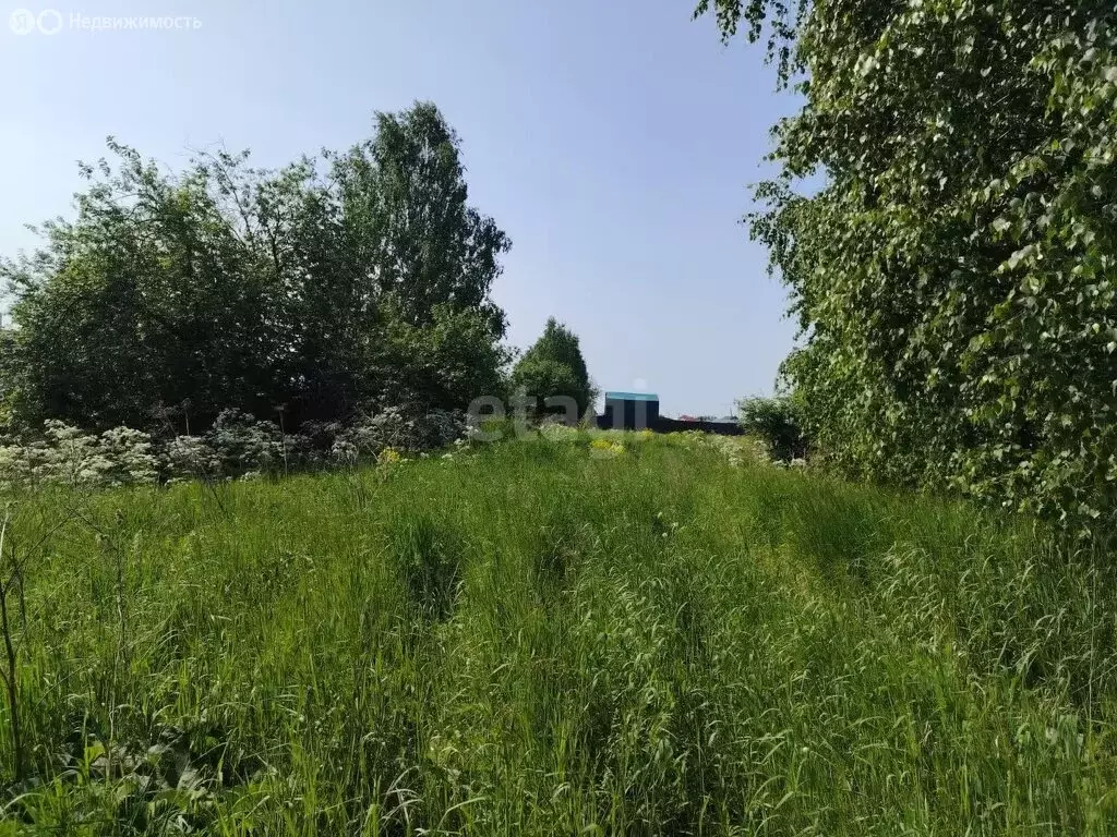 Участок в Томский район, деревня Кандинка (12.4 м) - Фото 1