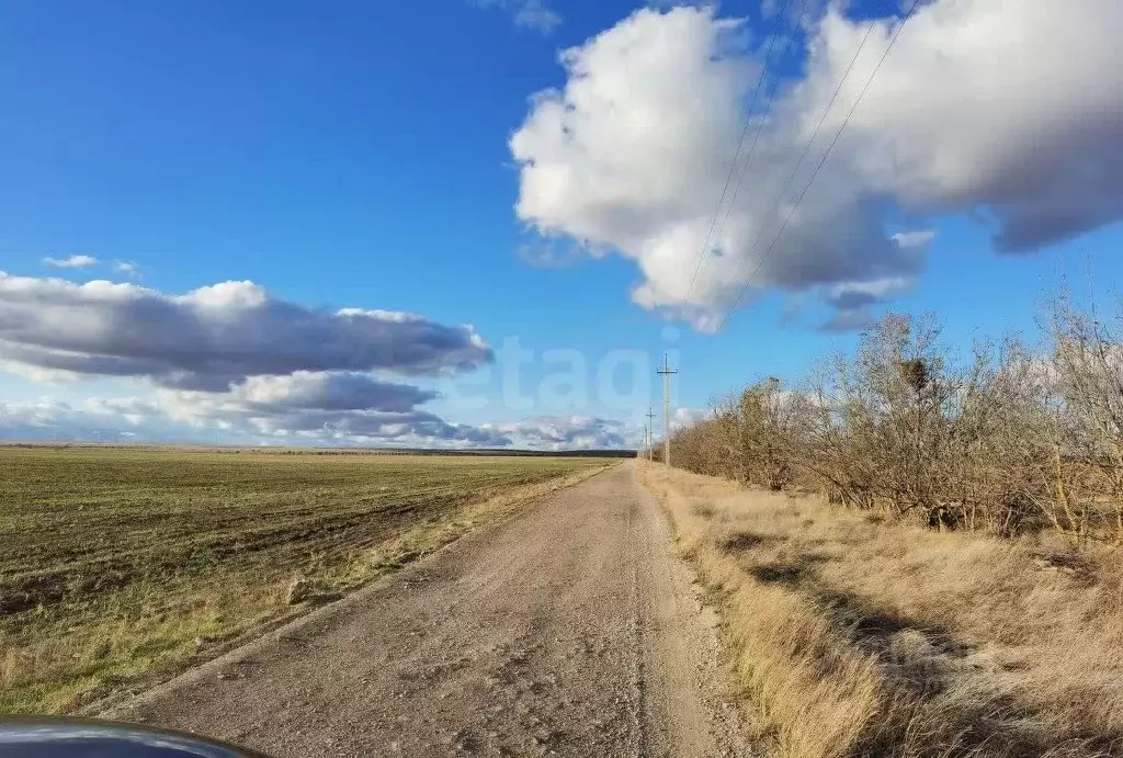 Участок в Крым, Черноморский район, Окуневское с/пос, с. Громово  ... - Фото 1