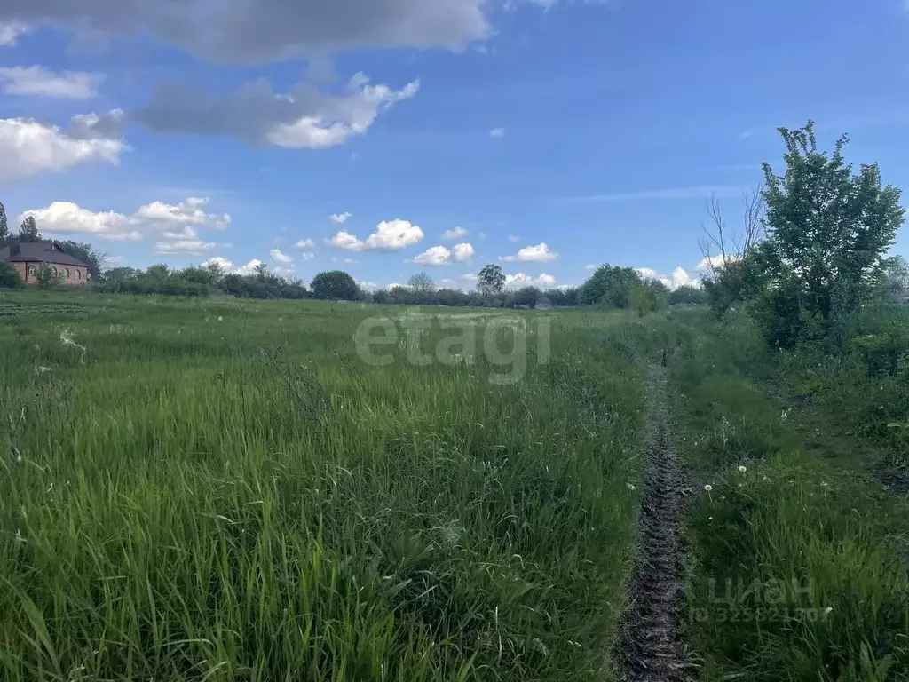 Участок в Белгородская область, Белгородский район, Бессоновское ... - Фото 2
