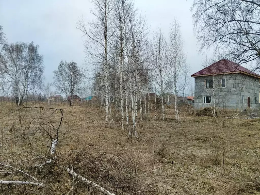 Участок в Омская область, Омск ул. 4-я Янтарная (8.0 сот.) - Фото 2