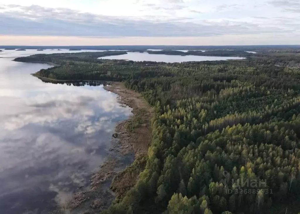 Участок в Псковская область, Куньинский район, Жижицкая волость  ... - Фото 2