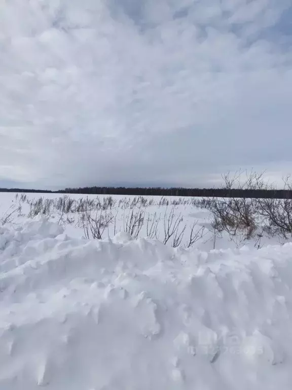 Участок в Тюменская область, Нижнетавдинский муниципальный округ, ... - Фото 1